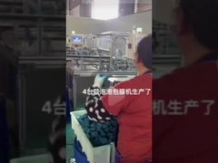 Toilettenreiniger mit blauer Blase